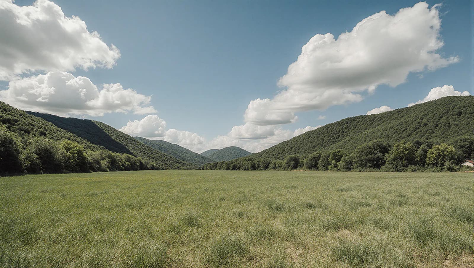 강변 토지 매매