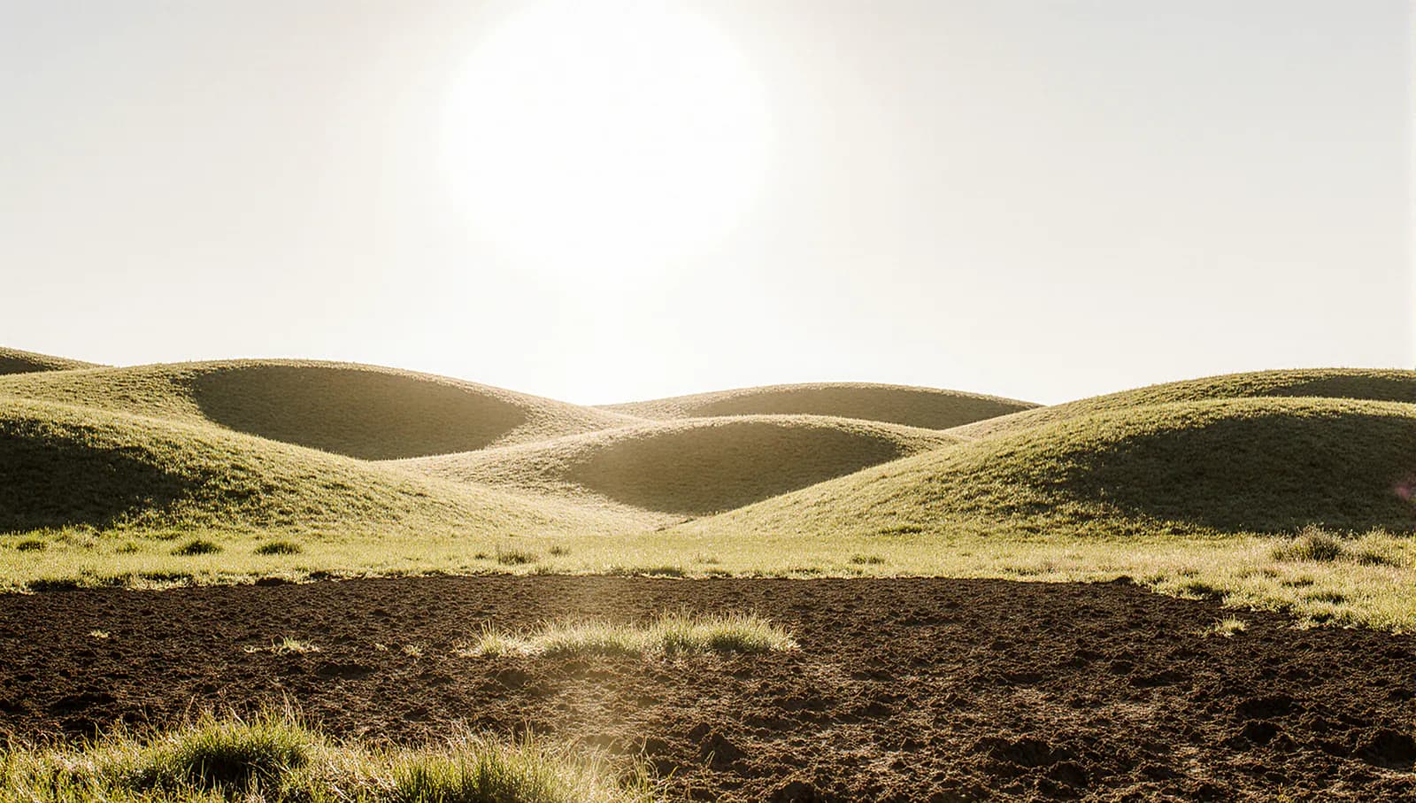 시장통 상가 매매