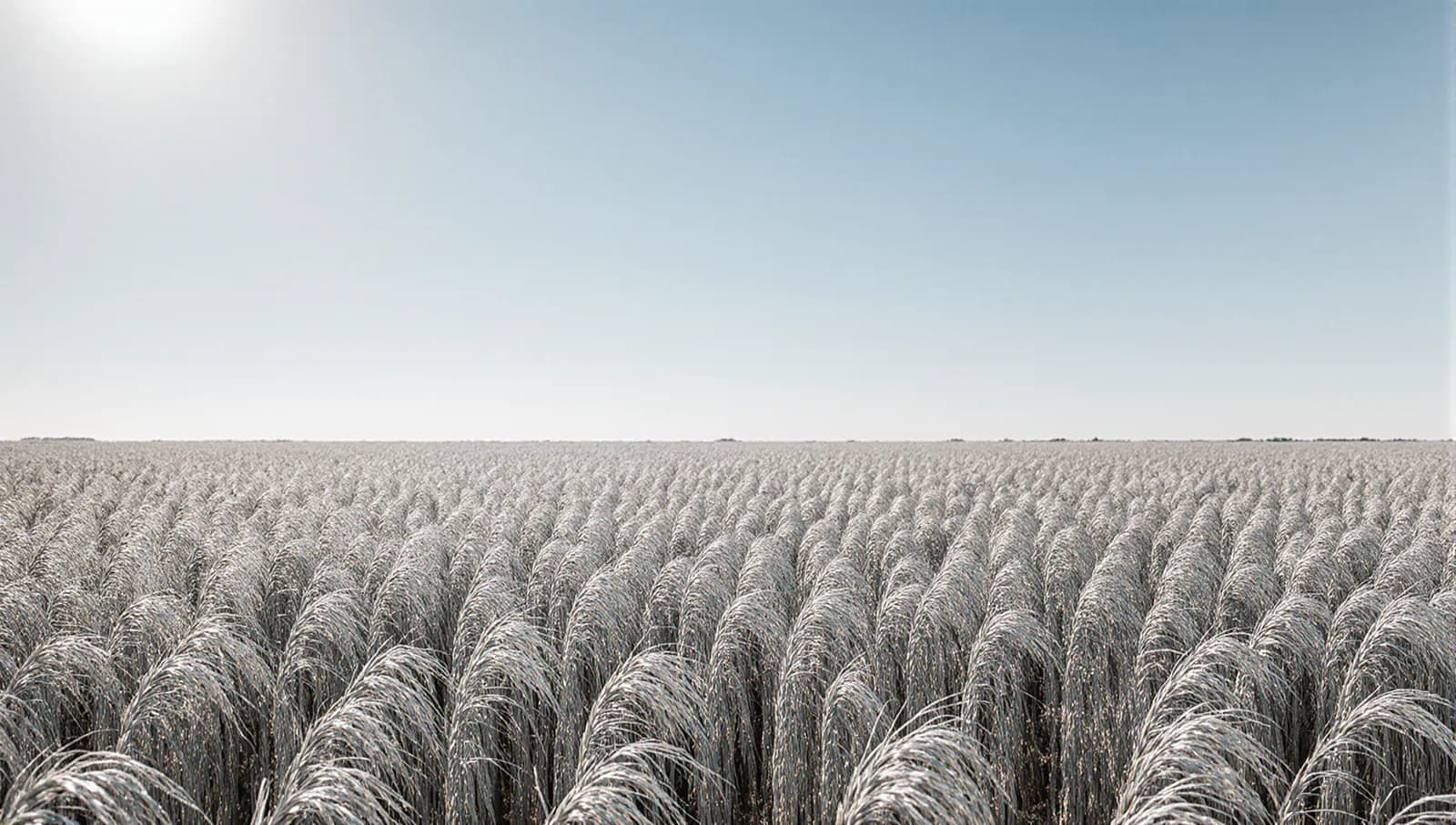 벼농사 자리 매매합니다